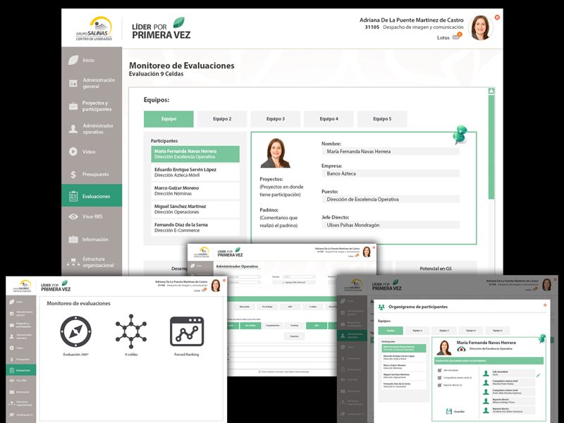 Grupo Salinas